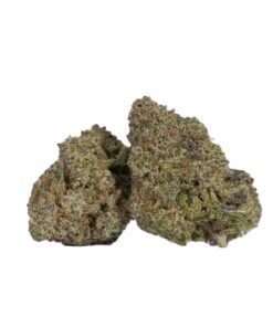 Ghost Dawg (AAA)